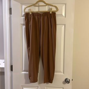 Aritzia Babaton Pants